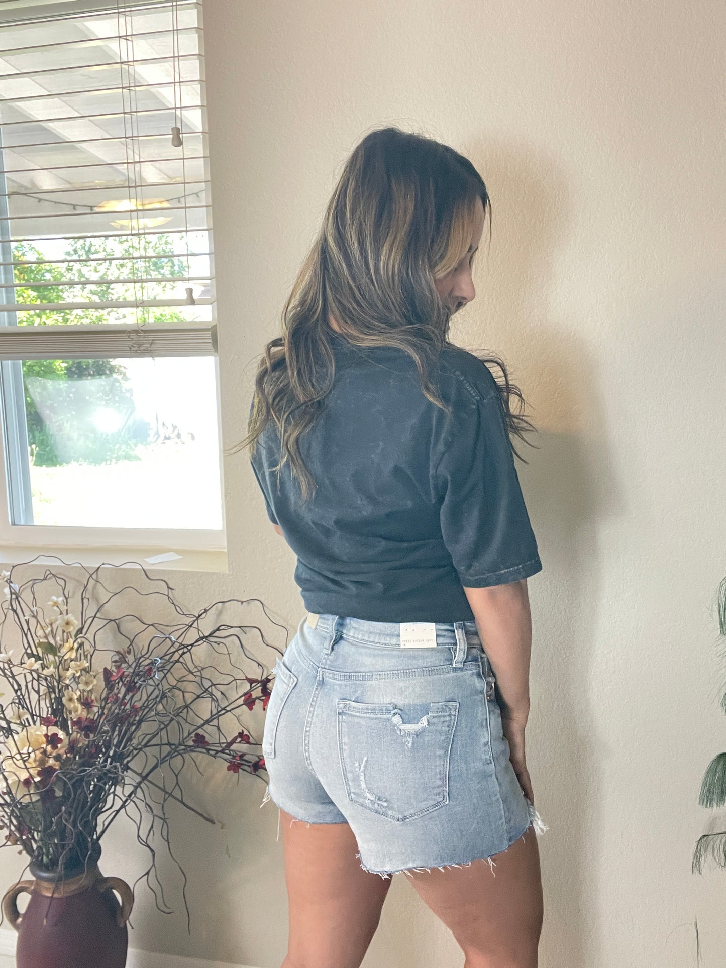 High Rise Stretch Denim Shorts